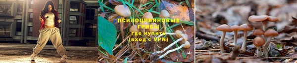 ALPHA PVP Бежецк