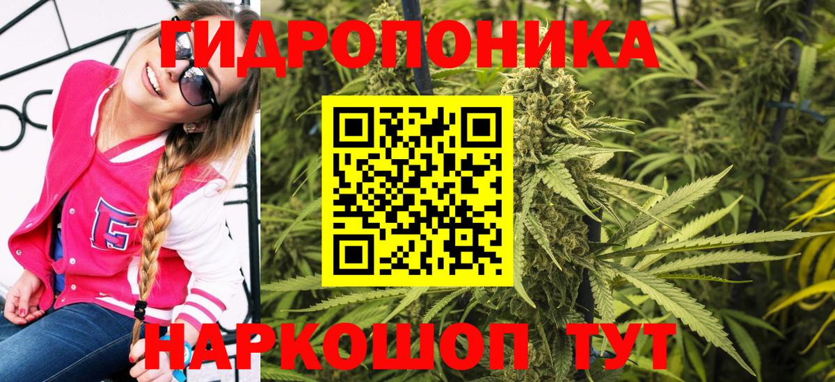 Марихуана VHQ  Вход с VPN  Бошки марихуана тримм  Бошки Шишки White Widow  Тольятти  Бошки Шишки сатива 